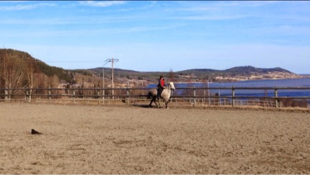 Jag och Dottla värmer upp inför en träningstävling på Wången 21/4-15 :)